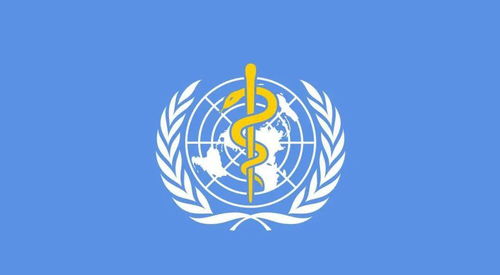世衛組織最新公布，徹底顛覆認知